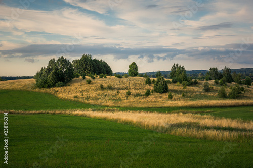 Fototapeta Naklejka Na Ścianę i Meble -  Landscape with masurian meadows near Banie Mazurskie, Masuria, Poland