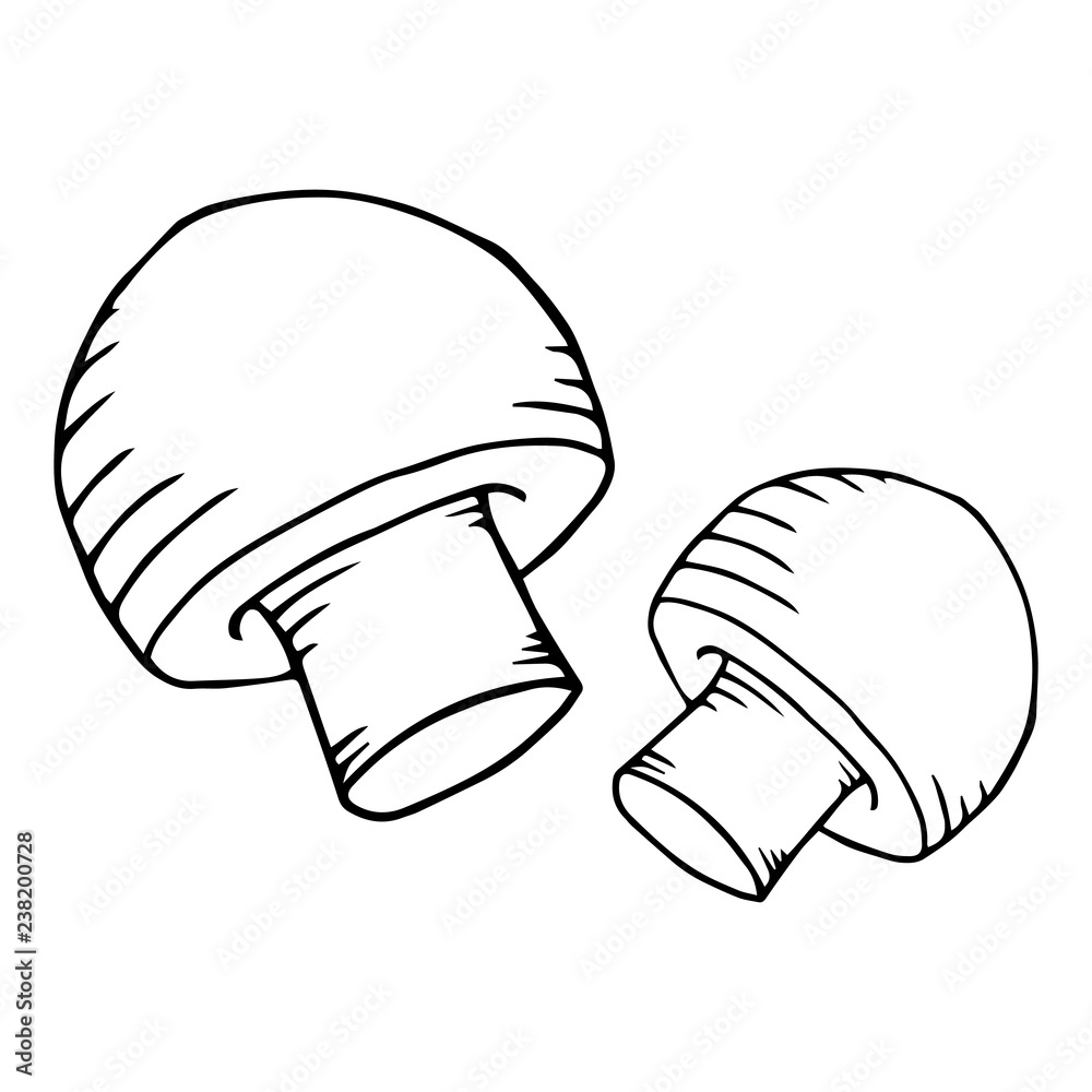 Mushroom icon. Vector illustration of a mushroom. Hand drawn mushroom. Mushroom icon. Vector illustration of a mushroom. Hand drawn mushroom.