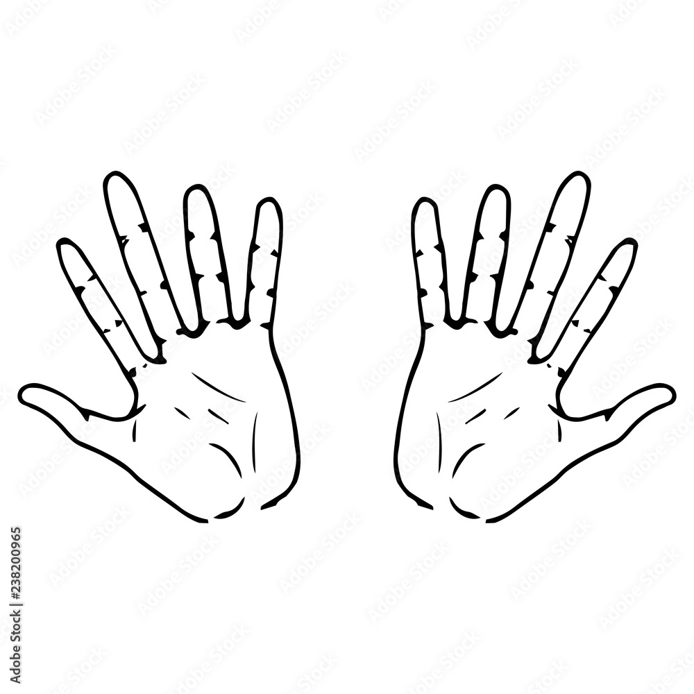 Two palm icon. Vector illustration human hand palm. Hand drawn arm