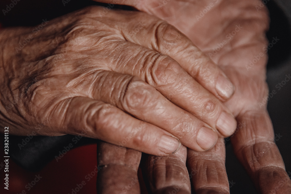 Fototapeta premium Elderly couple, man holding woman hands love.