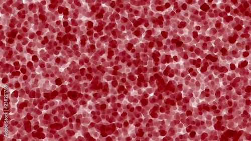Red, human cell animation. Cells, stem background from microscope.