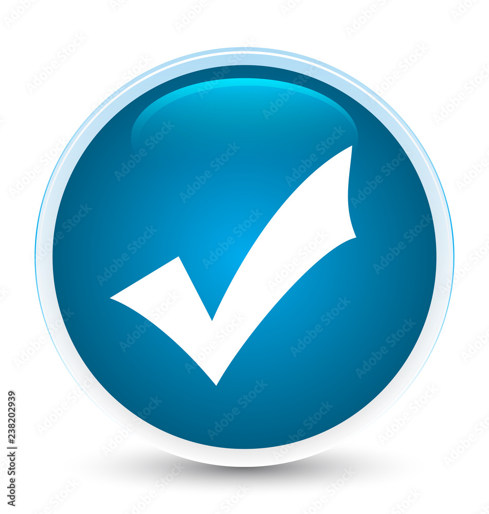 Validation icon special prime blue round button Validation icon special prime blue round button