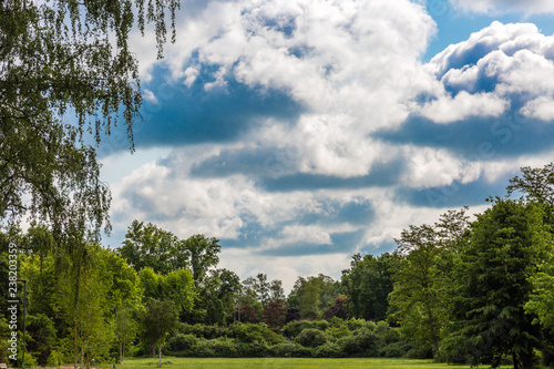 Green field and dramatic sky © rninov