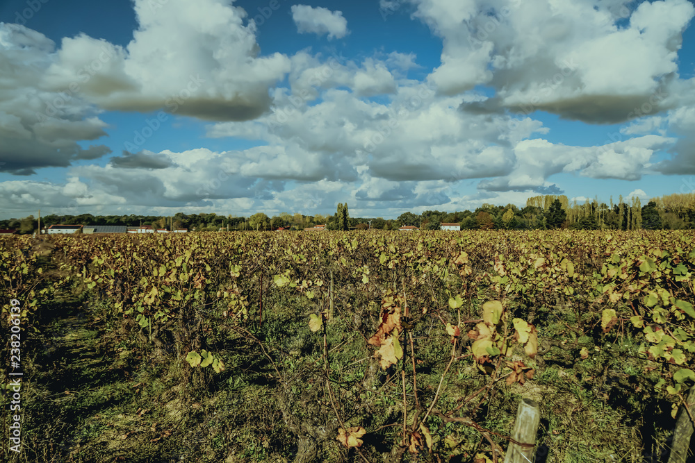 Vignobles à Clisson près de Nantes, Bretagne, France. Architecture typique de style italien rappelant une ville toscane. Muscadet.