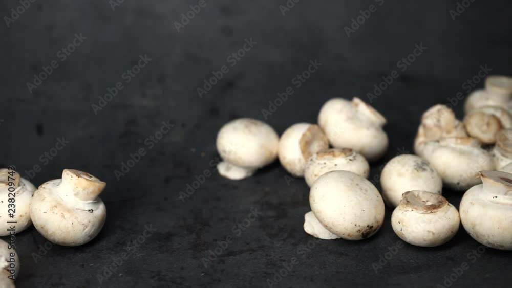 white mushrooms on a black background. raw ingredients. a lot of white mushrooms. isolated objects on a black background. white mushrooms on a black background. raw ingredients. a lot of white mushrooms. isolated objects on a black background.