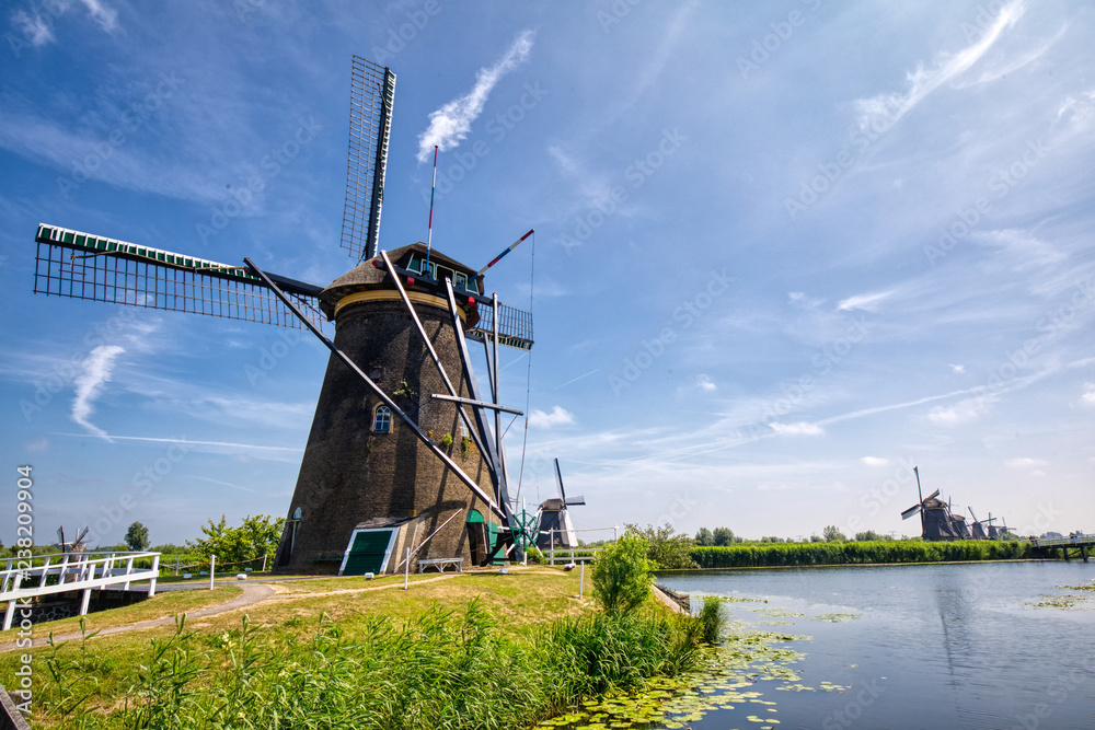 Fototapeta premium view of traditional windmills in Kinderdijk, The Netherlands.