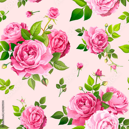 Seamless pattern with rose flowers © ledelena