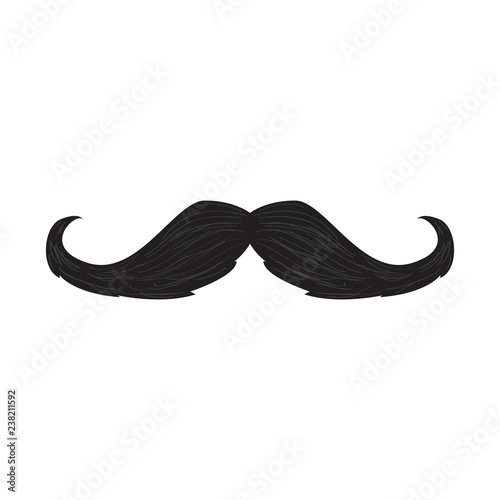 Isolated detailed mustache. Hipster style. Vector illustration design