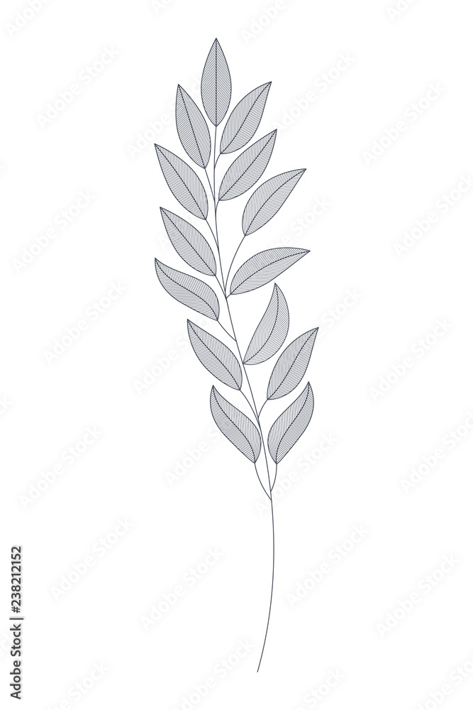 branches with leaves isolated icon branches with leaves isolated icon
