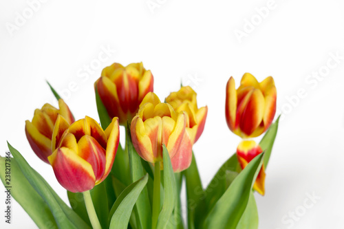 Bouquet of red yellow tulips on the white background. Women s and mother s day  romance concept. Close-up  soft focus  copy space