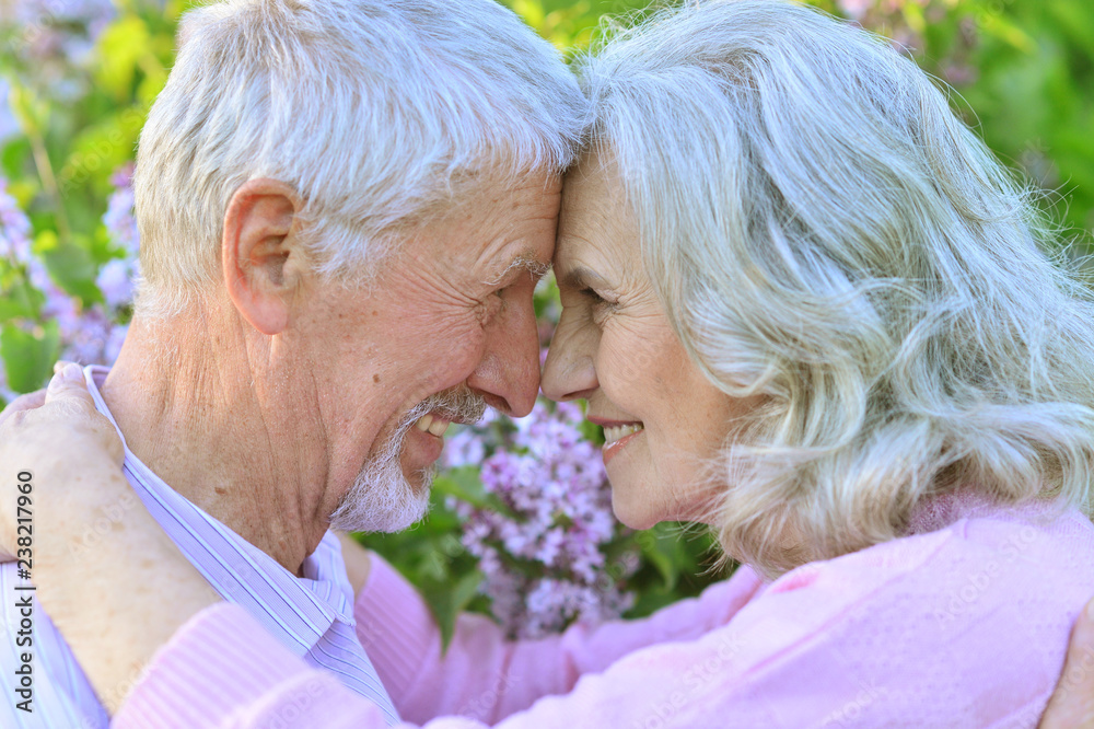 Portrait of beautiful senior couple hugging in spring park Portrait of beautiful senior couple hugging in spring park