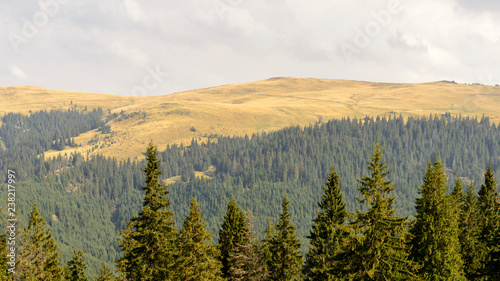 Rodungsflächen in Maramures - Rumänien
