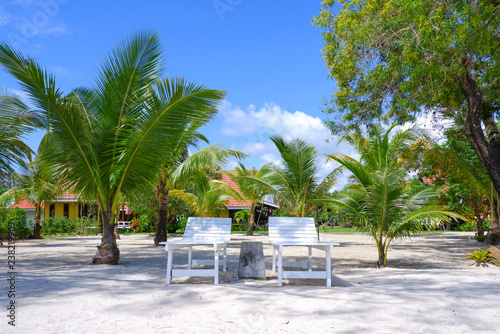 beachfront chairs are located in front of the resort and have palm trees around on the beach.