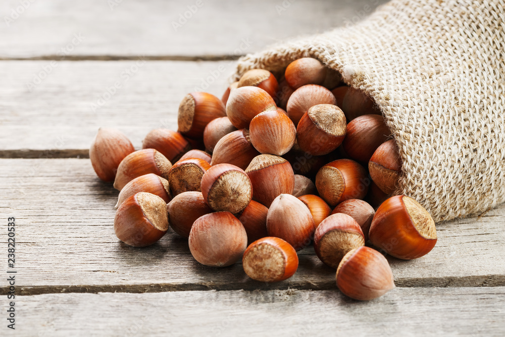 Hazelnuts in a cover, poured out from a bag from burlap on a gray wooden table Hazelnuts in a cover, poured out from a bag from burlap on a gray wooden table