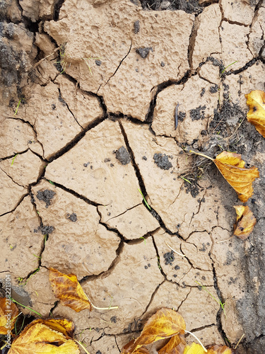 Texture of the cracked grou...