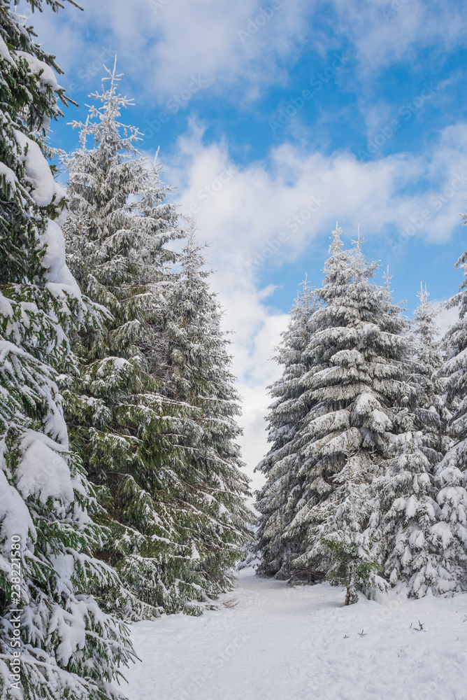Winterwonderland Winterwonderland