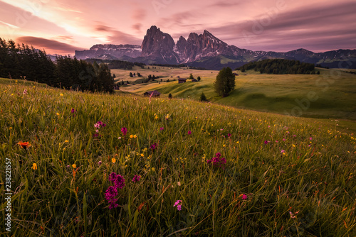 Foto Sunrise at the Alpe di Suisi in Italy