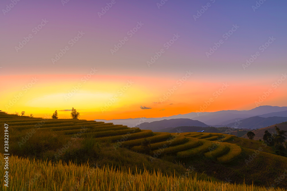 Beautiful landscape view of rice terraces in chiang mai , Thailand.