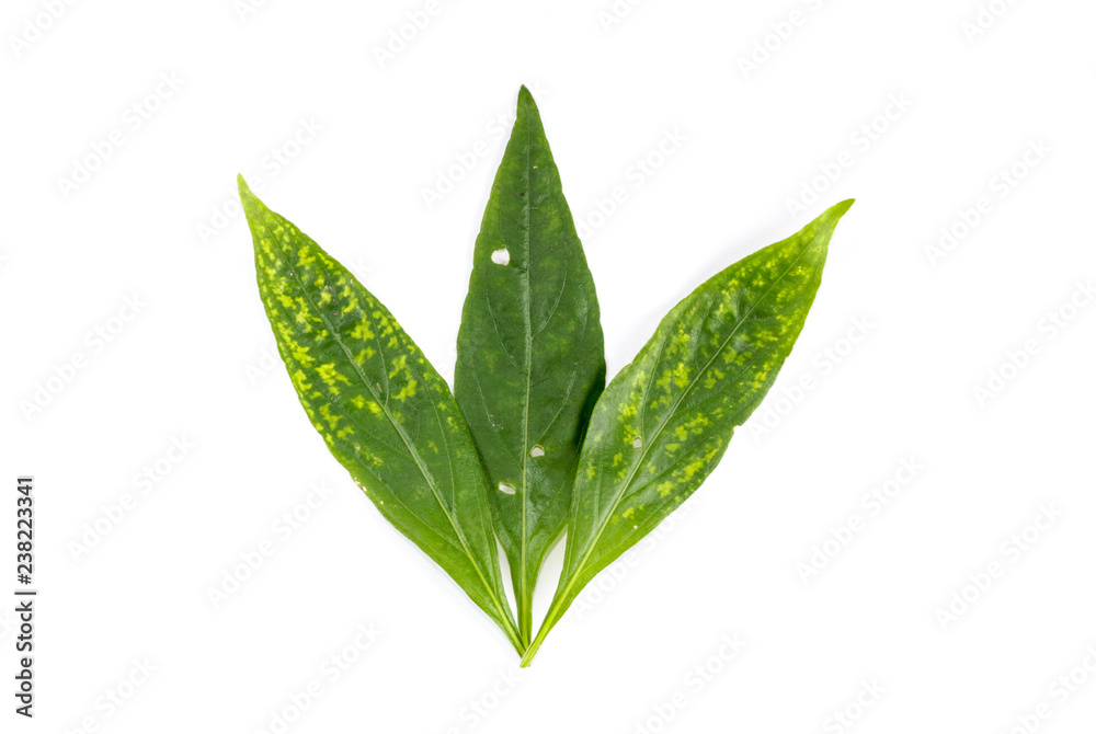 Naklejka premium Kariyat Close up