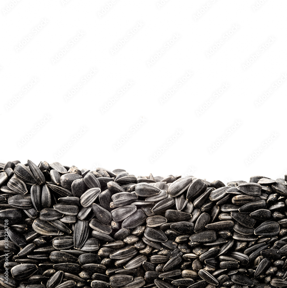 Layer of sunflower seeds in section isolated on white background. Agriculture poster concept Layer of sunflower seeds in section isolated on white background. Agriculture poster concept