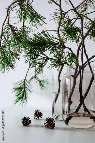 Scandinavian Christmas decor. pine branches and cones