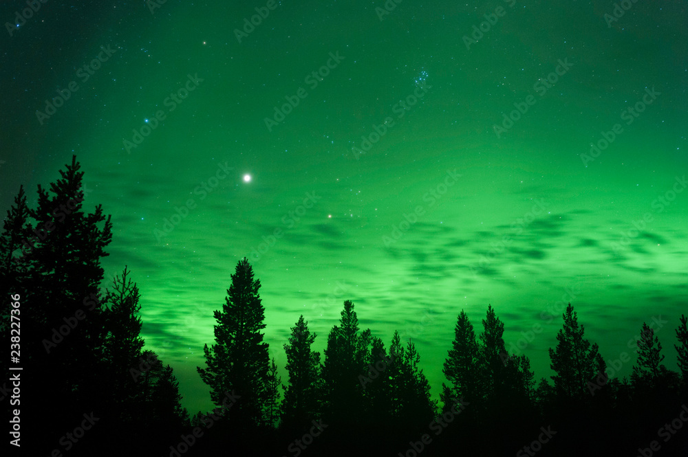 Aurora Borealis, planet Jupiter and The Pleiades above boreal forest