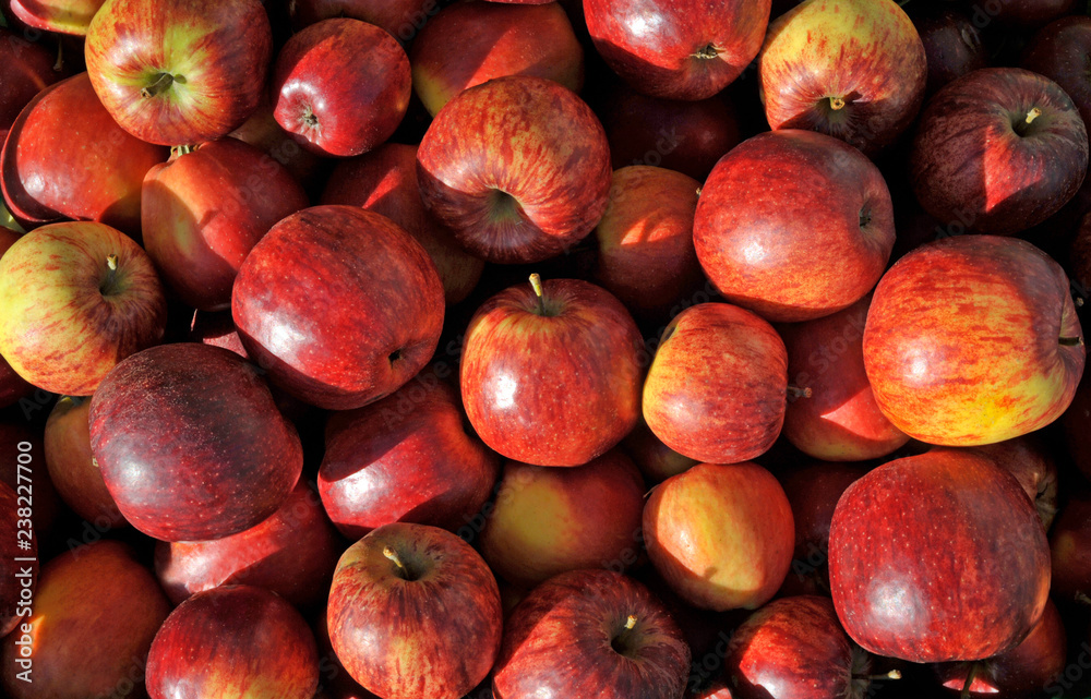 Apples