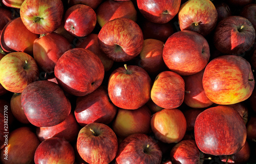 Obraz na płótnie Apples w salonie