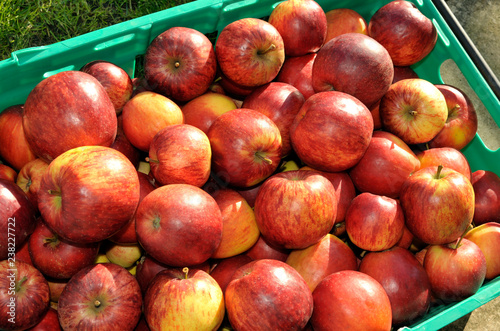 Obraz na płótnie Apples w salonie