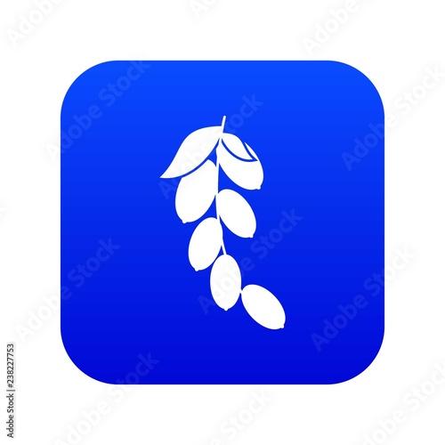 Branch of cornel or dogwood berries icon digital blue for any design isolated on white vector illustration