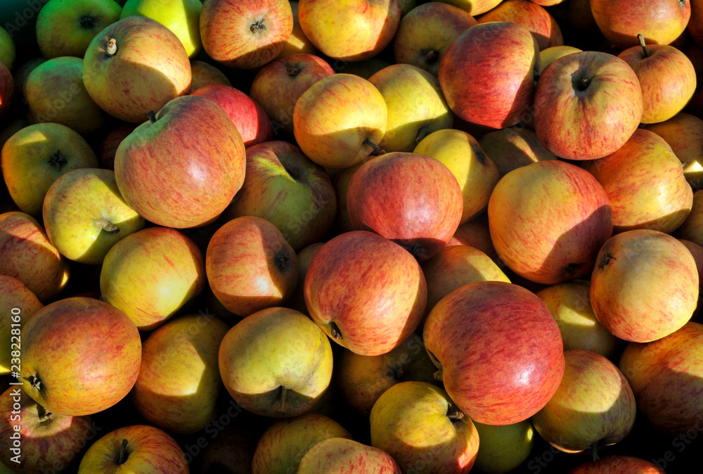 Apples