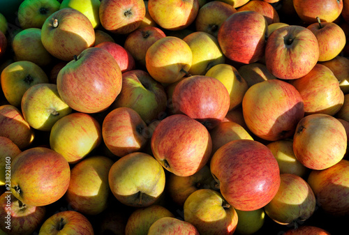 Obraz na płótnie Apples w salonie