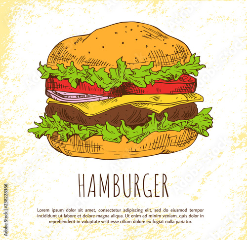 Hamburger with Fresh Salad and Buns Color Banner