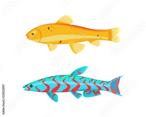 Malawi Yellow Zebra Fish Set Vector Illustration