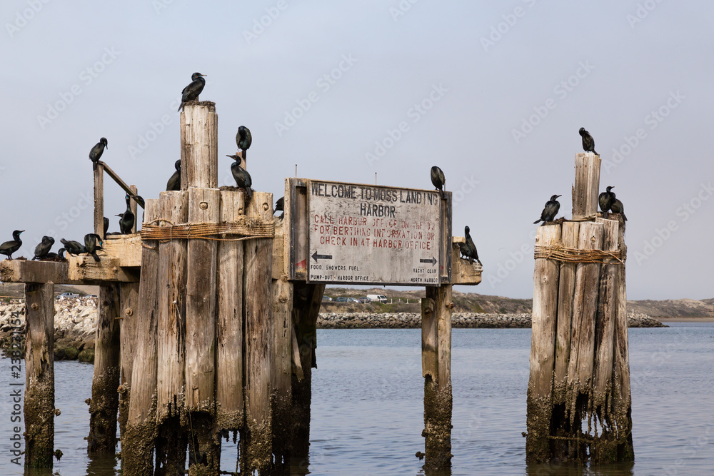 Welcome to Moss Landing Harbor sign with black birds