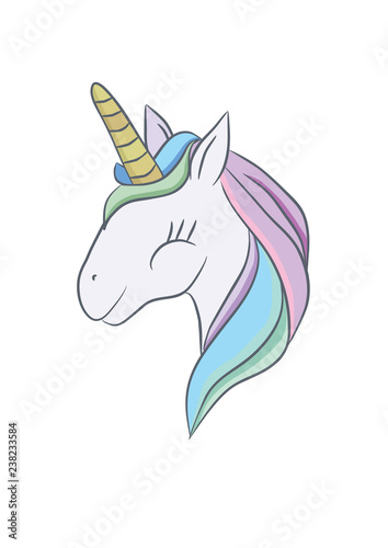 Illustration with a magic animal unicorn. illustration