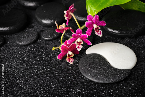 spa background of zen and Yin-Yang stones  orchid