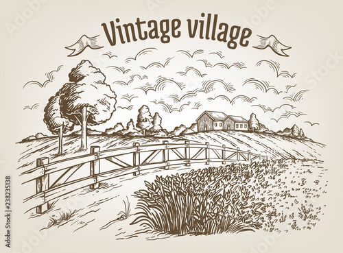 rural field with ripe wheat on background of mill and village, clouds. Color vector illustration