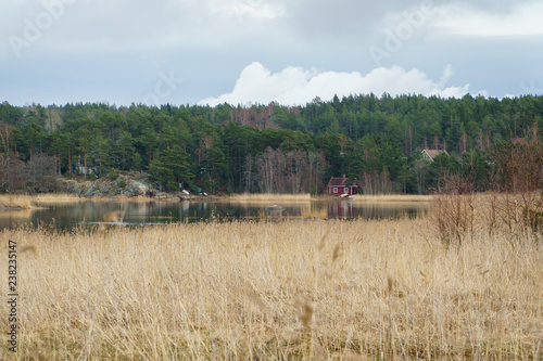 Fototapeta Naklejka Na Ścianę i Meble -  Nature in Finland, countryside landscape. Red wooden house on shore of lake.