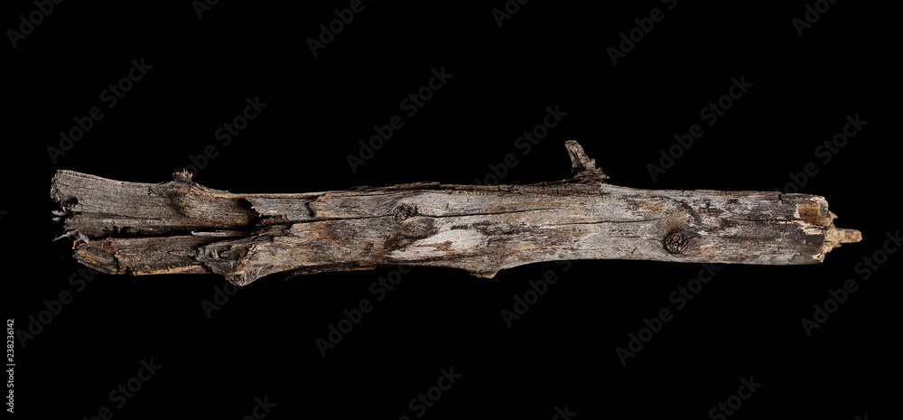 Fototapeta premium Dry rotten branch isolated on black background