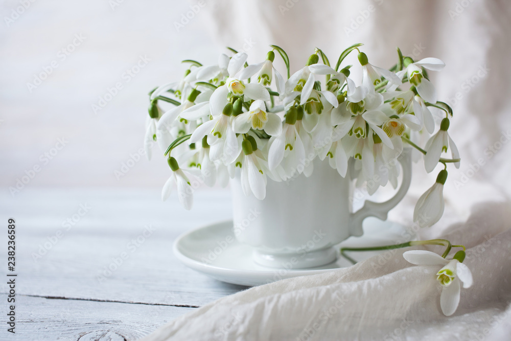 Snowdrops in a cup and saucer on the table