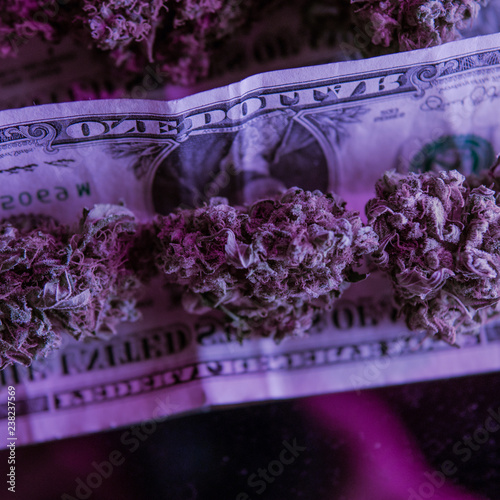 One Pound of Organic Cannabis close-up. Marijuana business photo