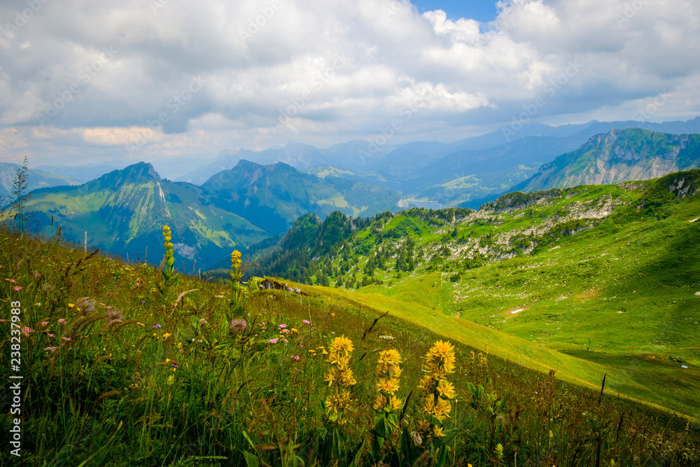 Obraz premium Typical summer mountains Switzerland landscape at sunny day time
