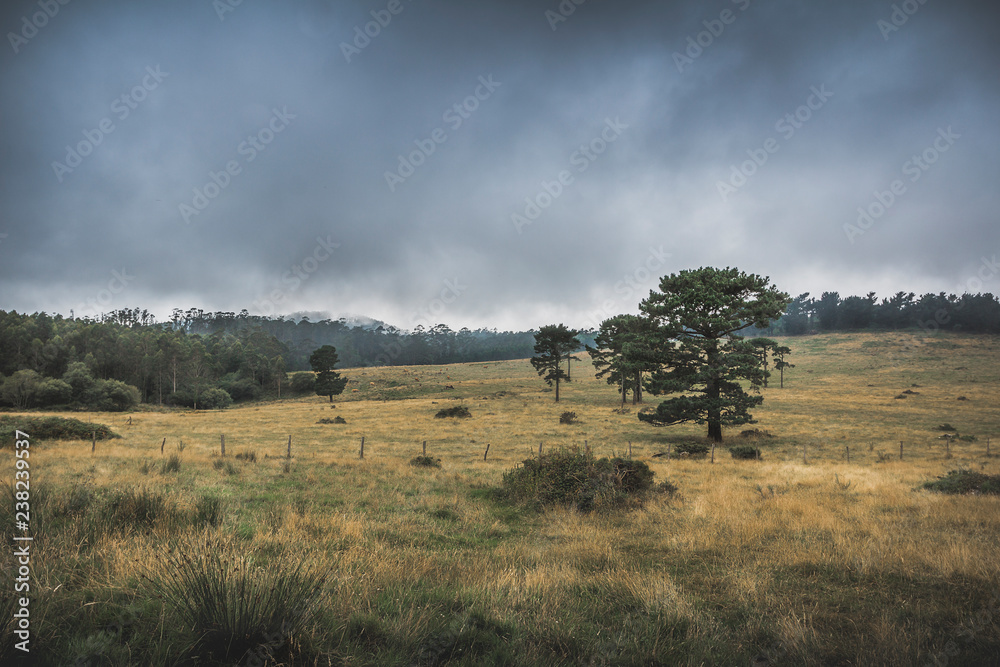 Obraz premium Brétema