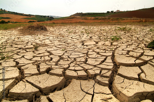 Cracks on dried soil.