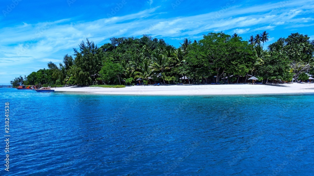 Fototapeta premium Sulawesi Bluebaydivers