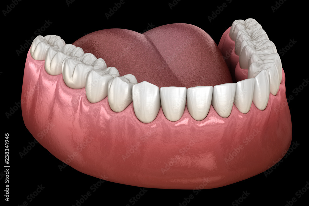 Obraz premium Mandibular human gum and teeth. Medically accurate tooth 3D illustration