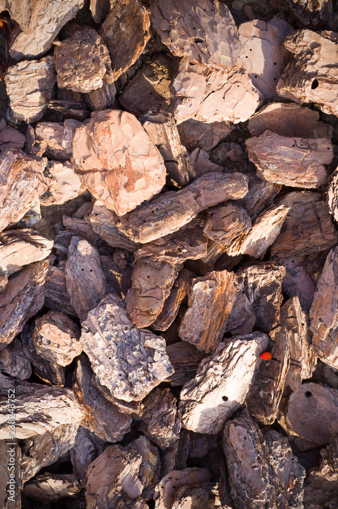 wooden chips mulch on the ground texture with vignette. background.