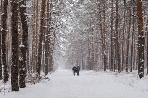 two women walk on a snowy road. A Blizzard in the woods.