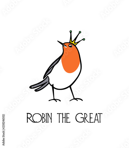 Hand drawn robin